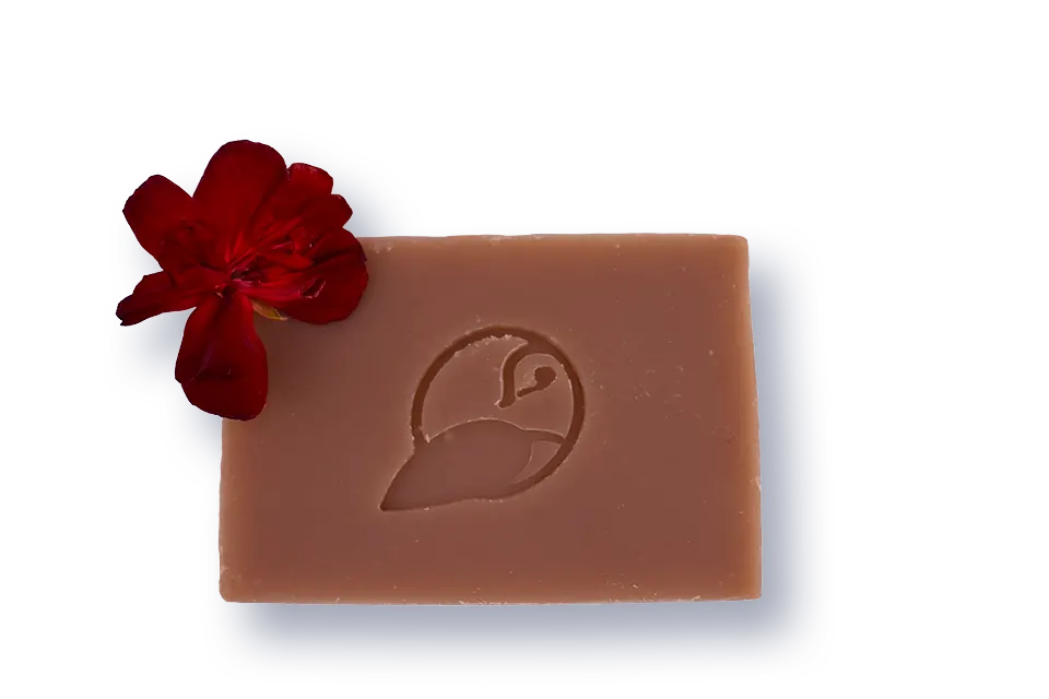 Découvrez notre savon Le Floral