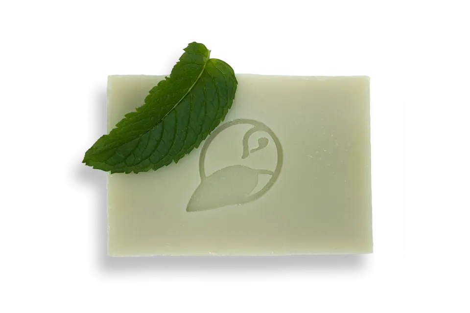 Découvrez notre savon le Fraicheur