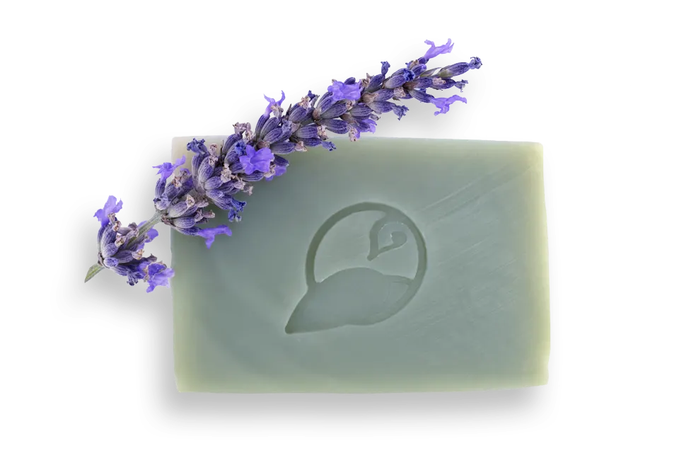 Découvrez notre savon Le Provençal
