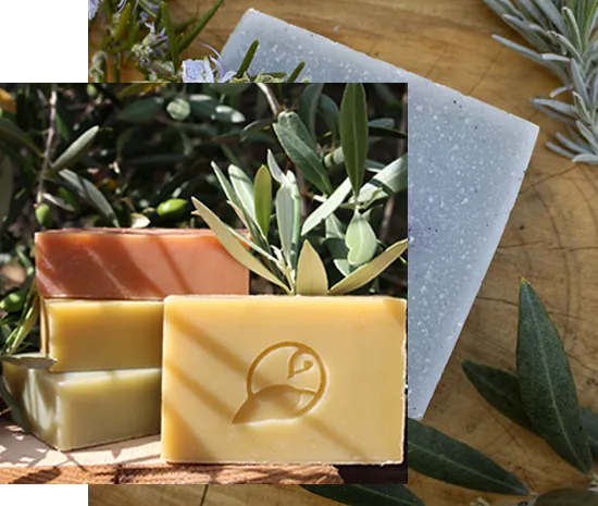 Nos savons sont fabriqués à base d'huile d'olive