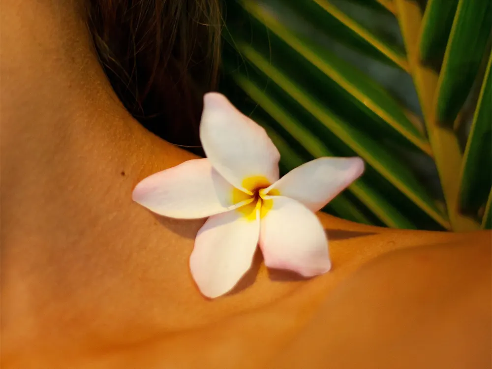 Une fleur de Tiaré, utilisée pour fabriqué du monoi, déposée sur la peau