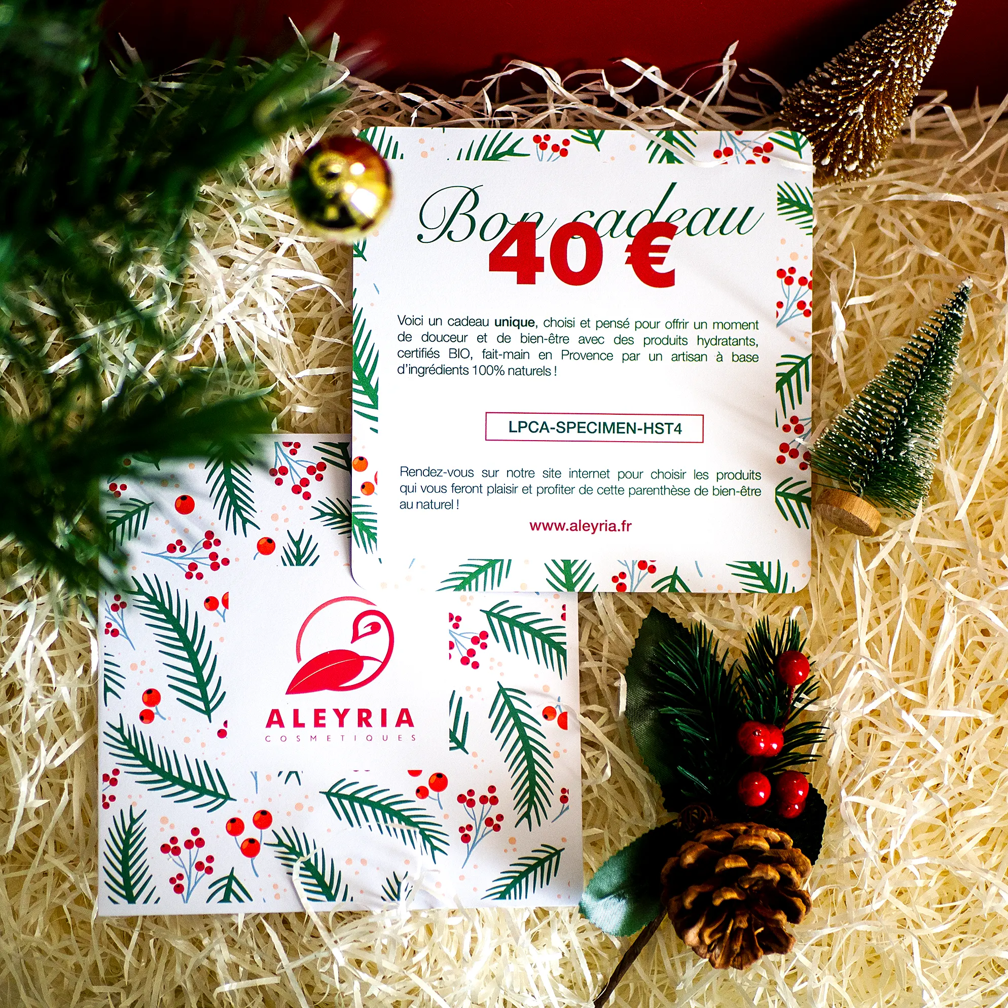 Un bon cadeau Aleyria d'une valeur de 40 euros sous un sapin de Noël