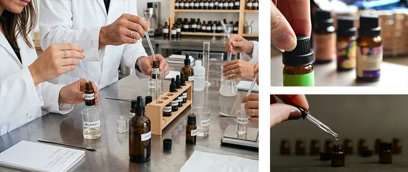 Un groupe de personnes participant à l'atelier de création d'un parfum